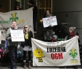 15 juillet 2013: Toujours opposé à la luzerne OGM