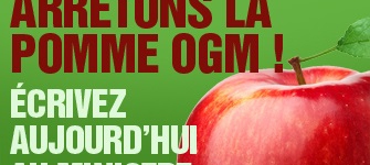 Arrêtons la pomme OGM !