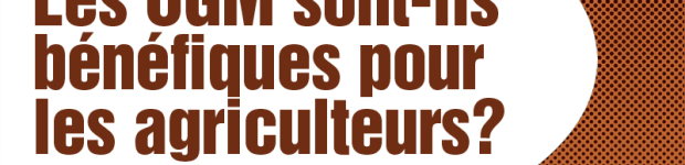 Les cultures GM coûtent cher aux agriculteurs